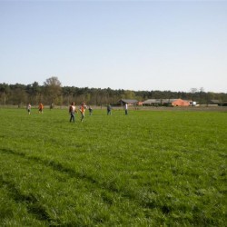 DSCN0946  Medium - Scouts en Gidsen Zaventem 